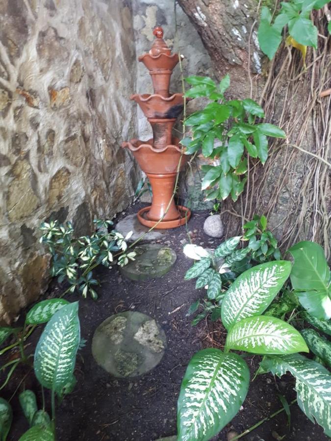 Hotel Alcaldeza - Garden House Maria Guadalupe Santo Domingo Exterior photo